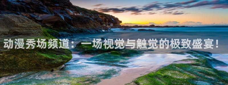 omofun下载的视频在哪：动漫秀场频道：一场视觉与触觉的极致盛宴！