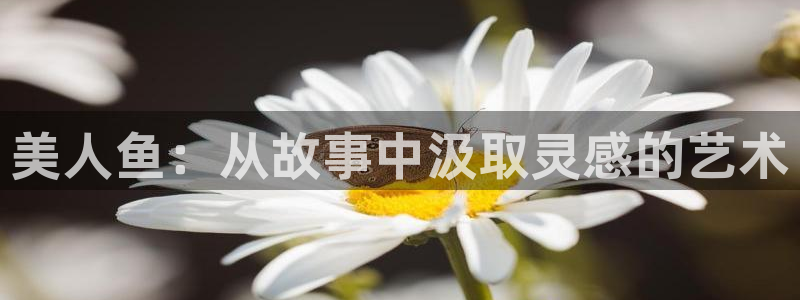 omofun动漫正版：美人鱼：从故事中汲取灵感的艺术