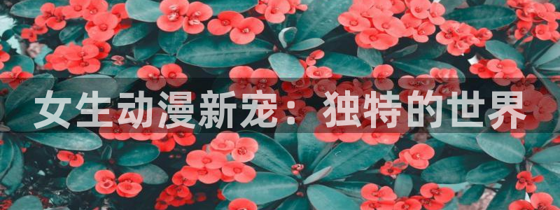 omofun在线观看动漫：女生动漫新宠：独特的世界