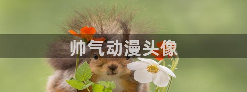 omofun 官网：帅气动漫头像