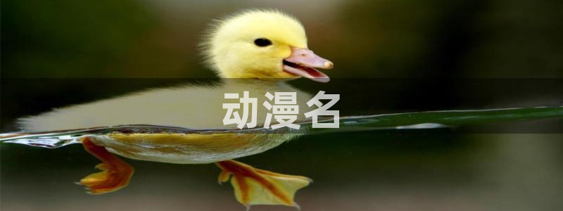 omofun去广告版