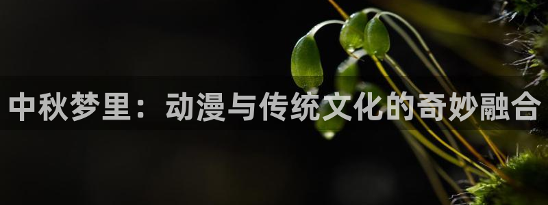 omofun自签：中秋梦里：动漫与传统文化的奇妙融合
