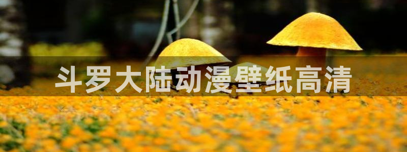 omofun下载入口：斗罗大陆动漫壁纸高清