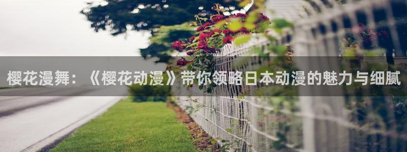 omofun苹果自签：樱花漫舞：《樱花动漫》带你领略日本动漫的魅力与细腻