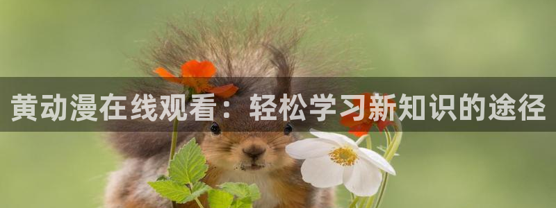 omofun官网入口链接：黄动漫在线观看：轻松学习新知识的途径