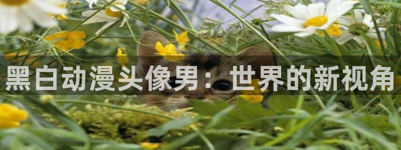 omofun旧版本