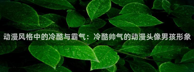 omofun动漫官网网页版入口：动漫风格中的冷酷与霸气：冷酷帅气的动漫头像男孩形象