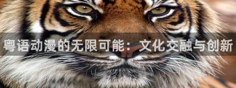 omofun纯净版