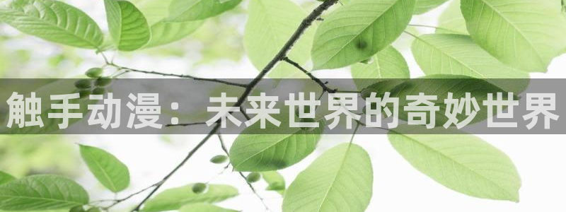 omofun一个：触手动漫：未来世界的奇妙世界