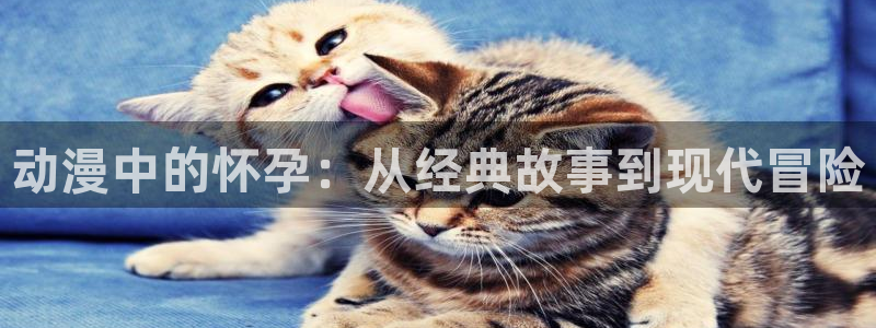 omofun 宕卧略