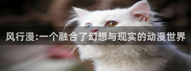 omofun漫画官网入口：风行漫:一个融合了幻想与现实的动漫世界