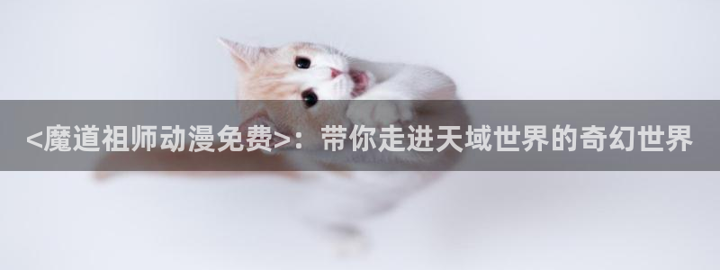 omofun官网正版入口
