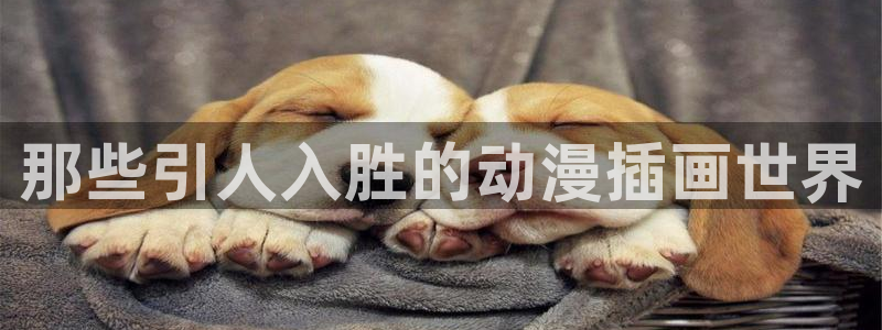 omofun动漫网,omofun弹幕网：那些引人入胜的动漫插画世界